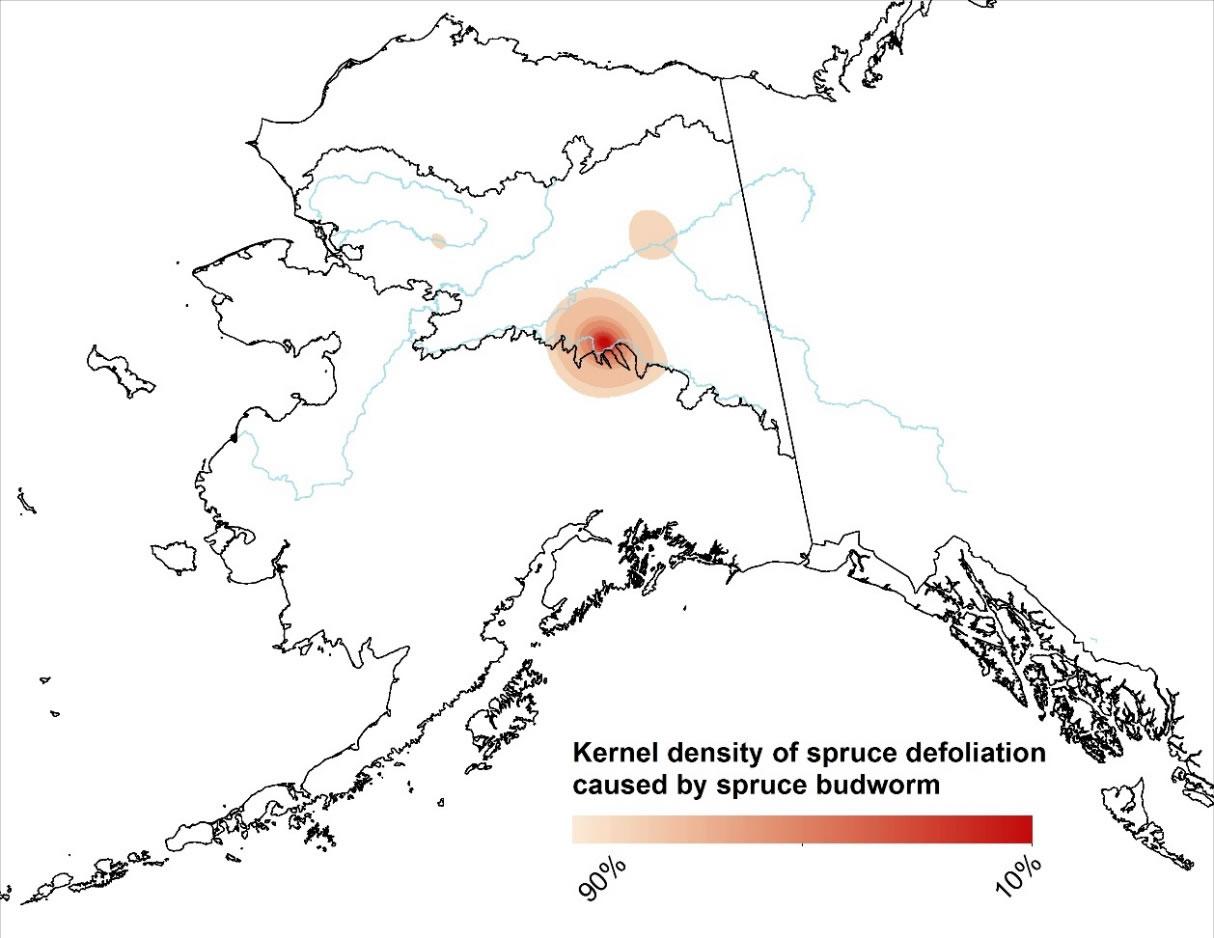 Kernel density of spruce budworm damage